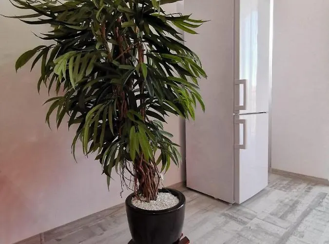 Orange Apartment-brilliant Apartamento