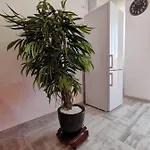 Orange Apartment-brilliant Lejlighed