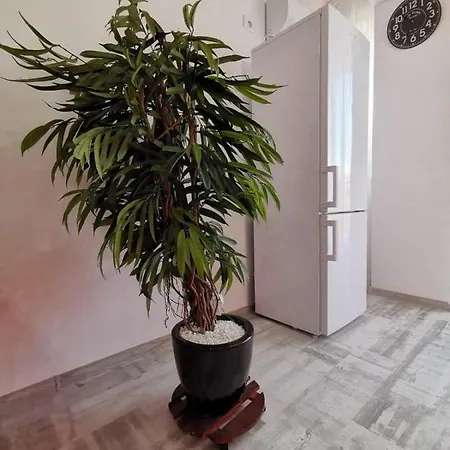 Orange Apartment-brilliant شقة
